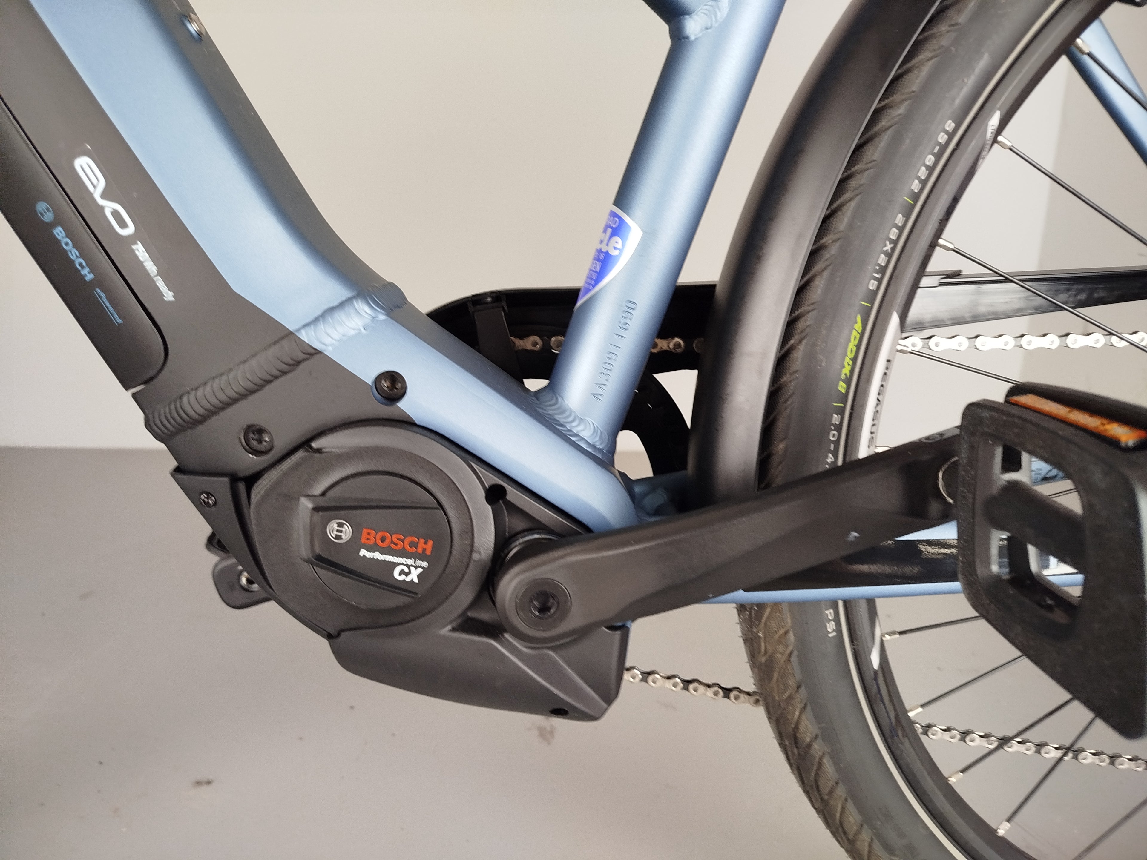 Pegasus Premio EVO 10 Lite
