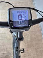 Pegasus Premio EVO 10 Lite