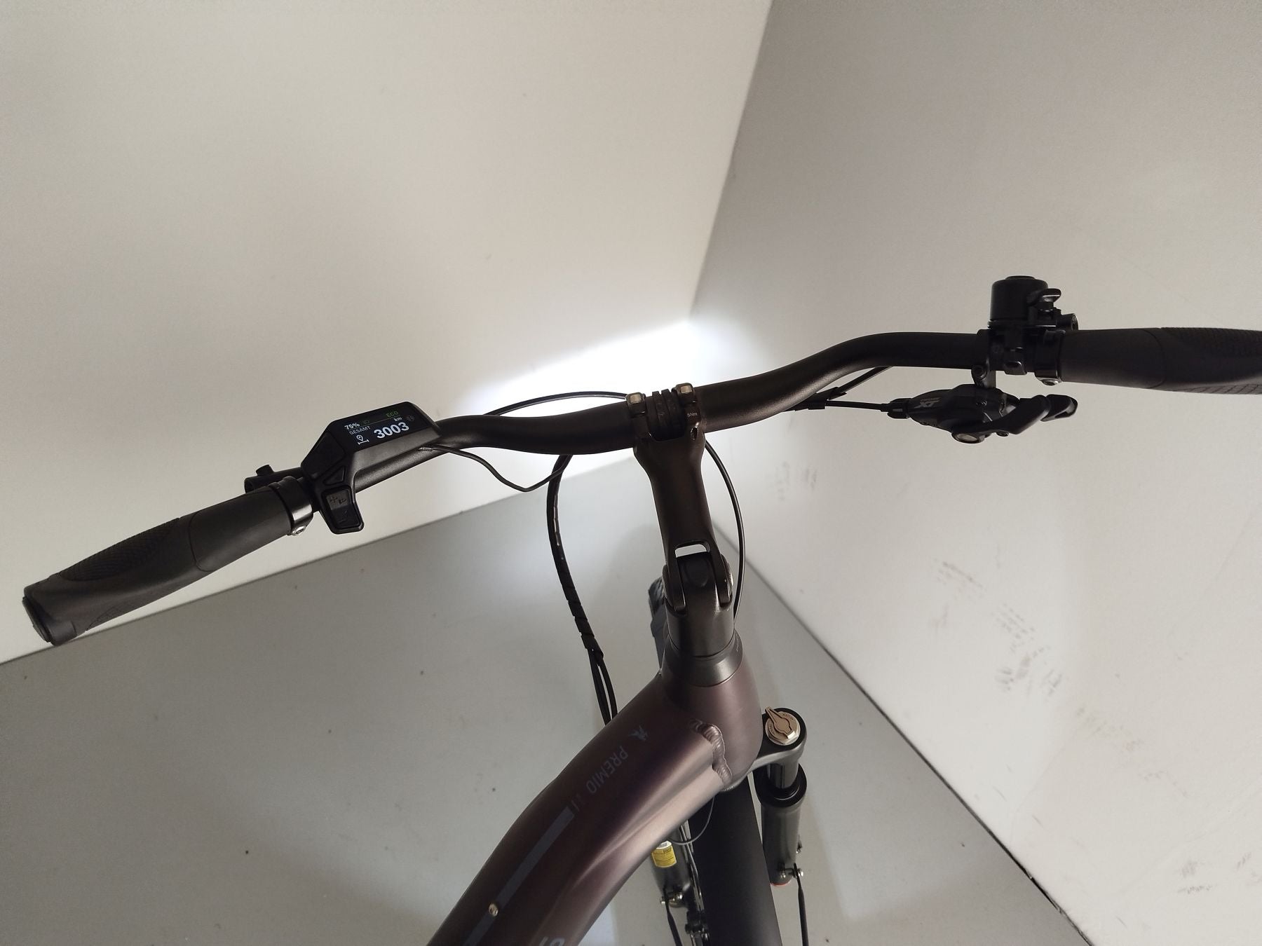Pegasus Premio EVO 11 – ReloopBikes