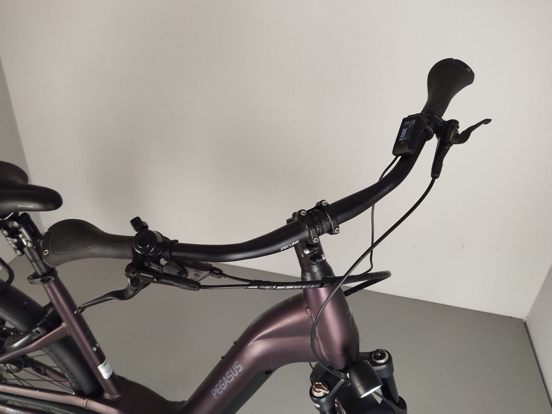 Pegasus Premio EVO 11