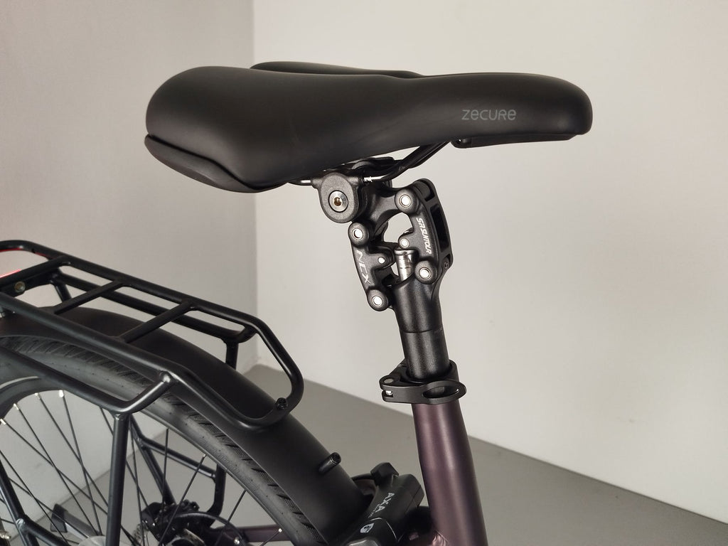 Pegasus Premio EVO 11