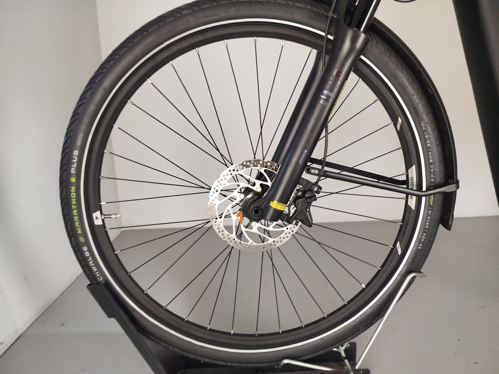 Pegasus Premio EVO 11