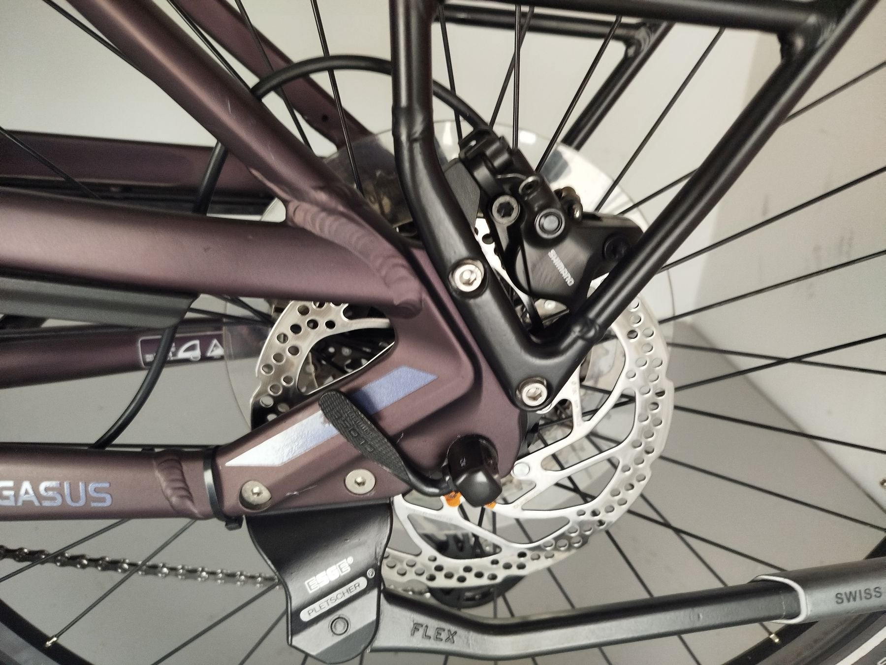 Pegasus Premio EVO 11
