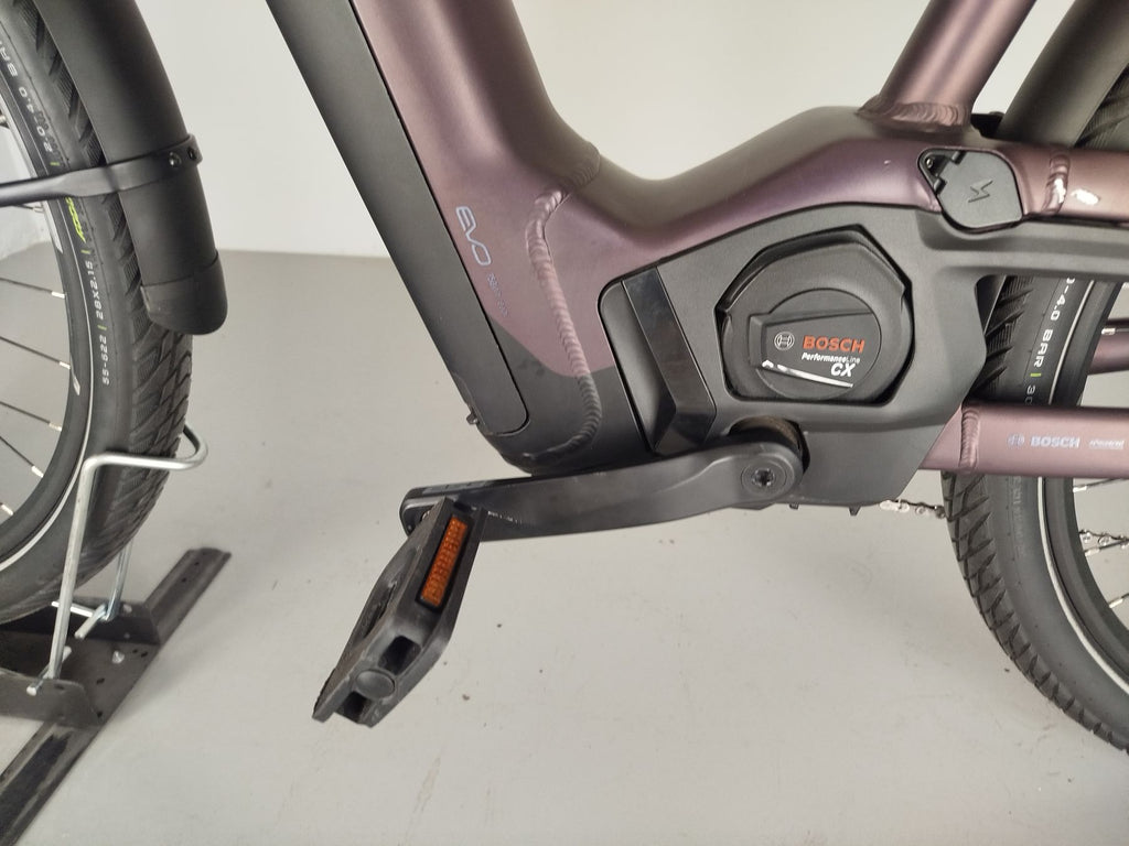Pegasus Premio EVO 11