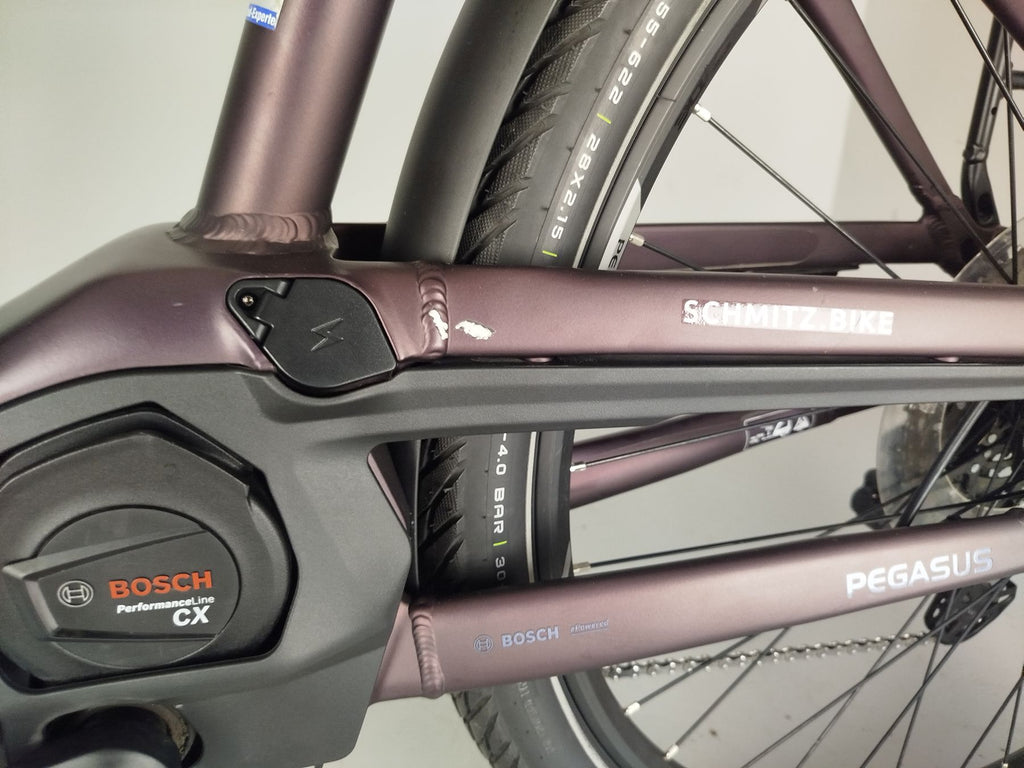 Pegasus Premio EVO 11