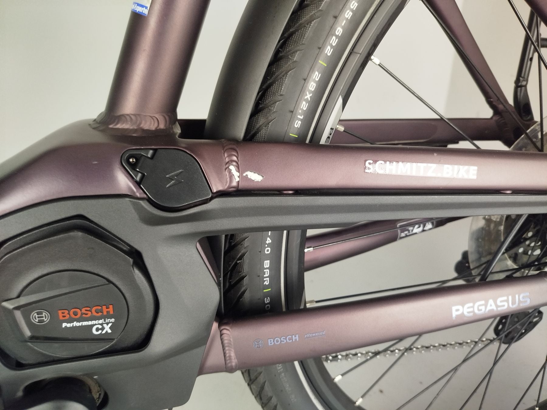Pegasus Premio EVO 11