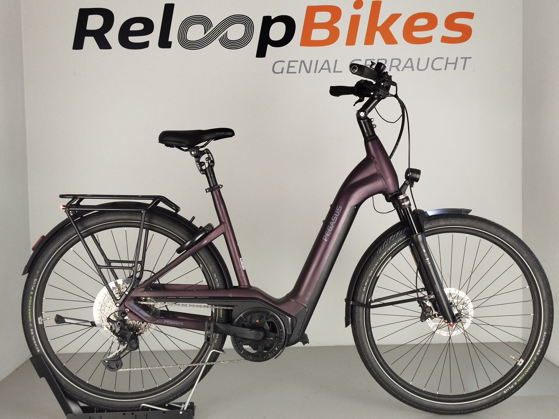 Pegasus Premio EVO 11