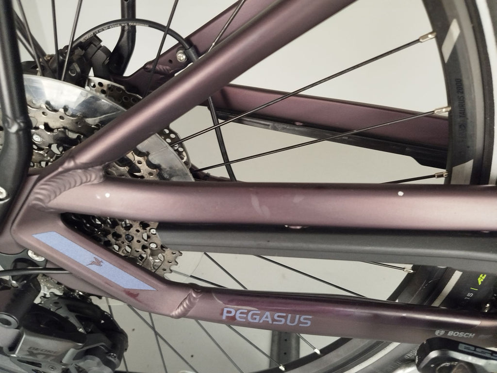 Pegasus Premio EVO 11