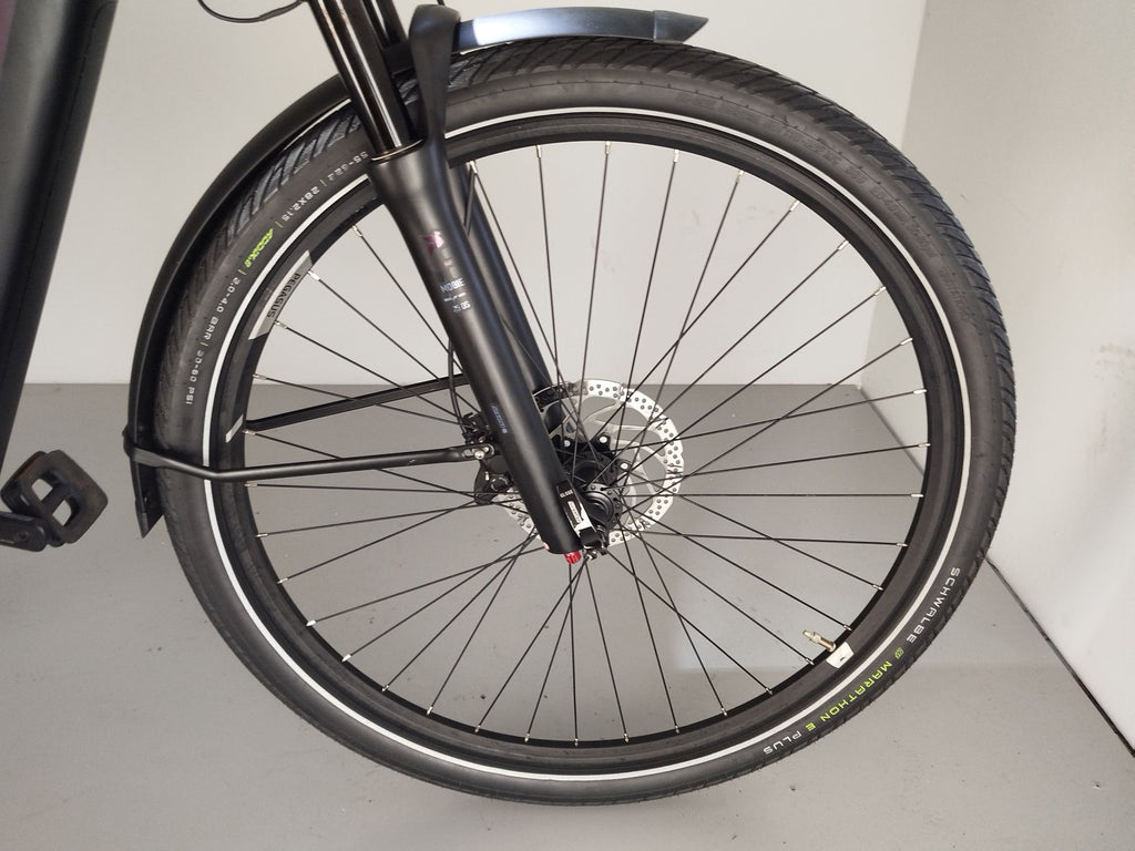 Pegasus Premio EVO 11