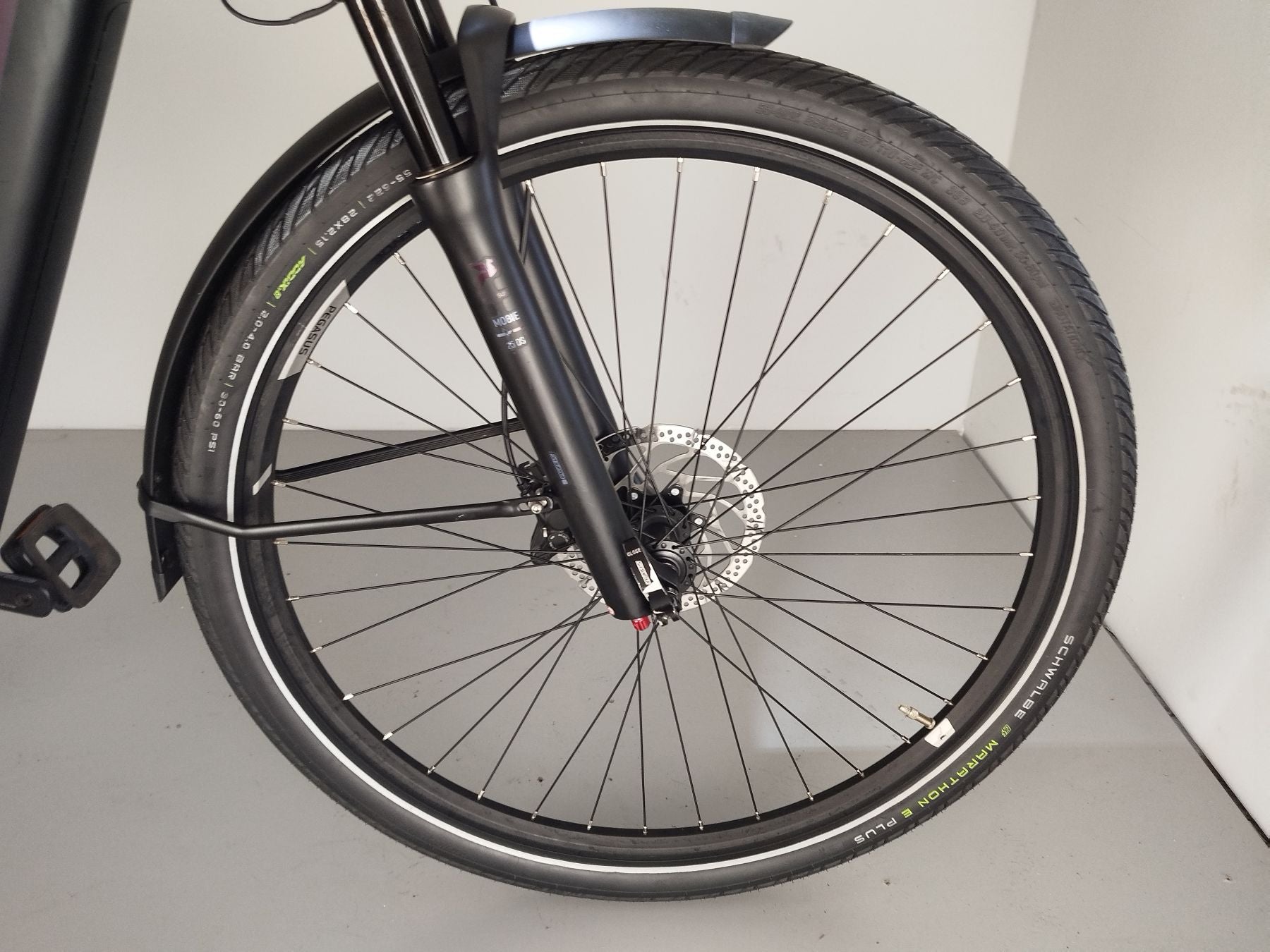 Pegasus Premio EVO 11