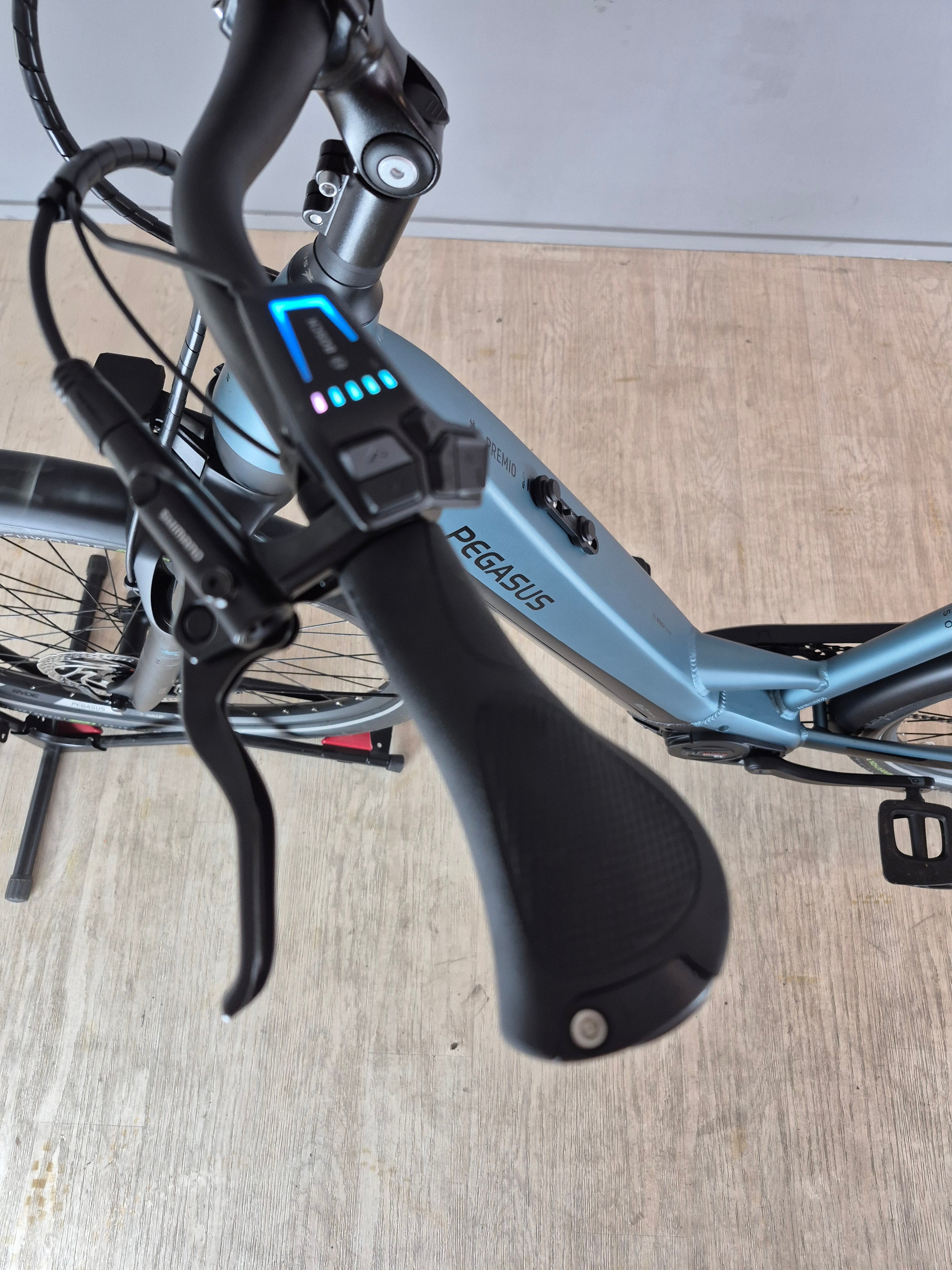 Pegasus Premio Evo 10 Lite