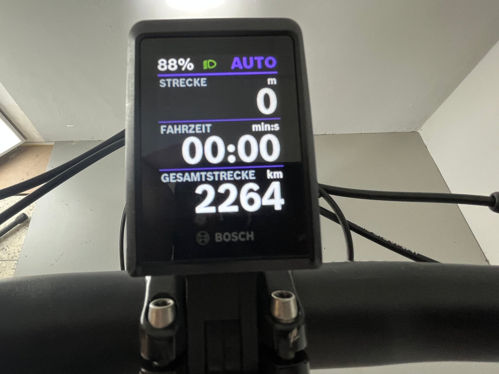 PEGASUS Savino Evo 12