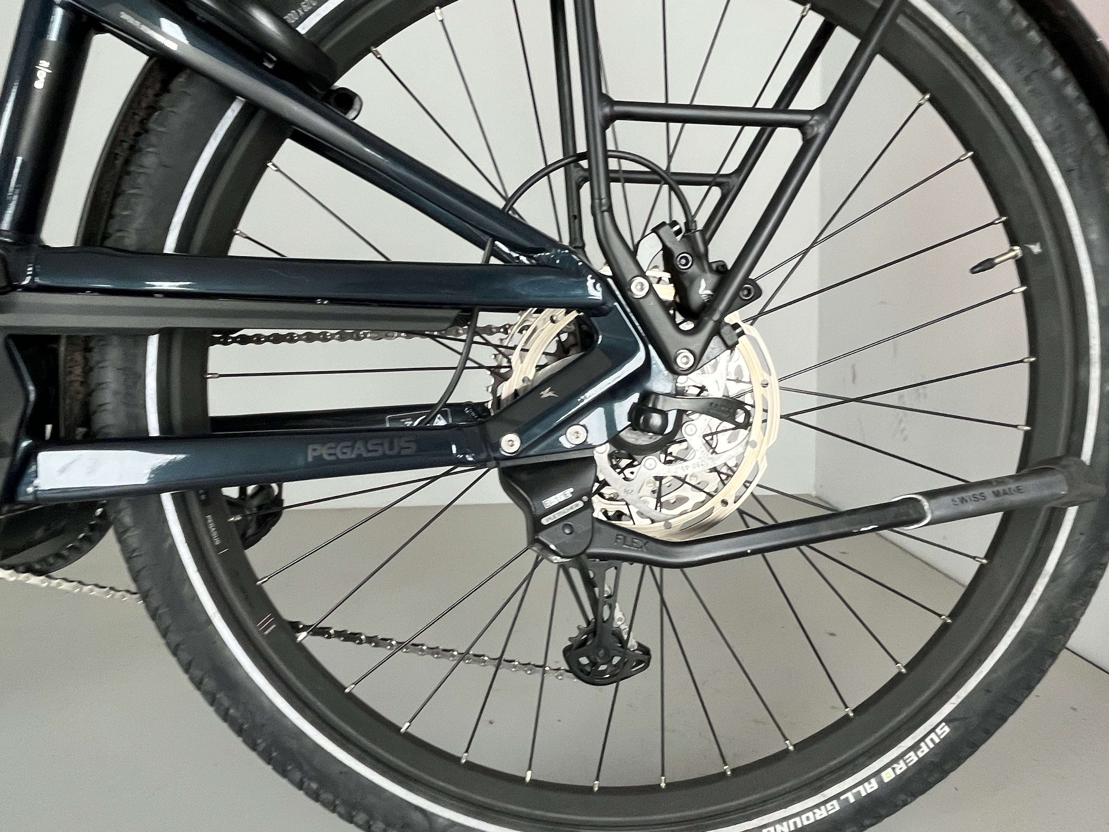 PEGASUS Savino Evo 12