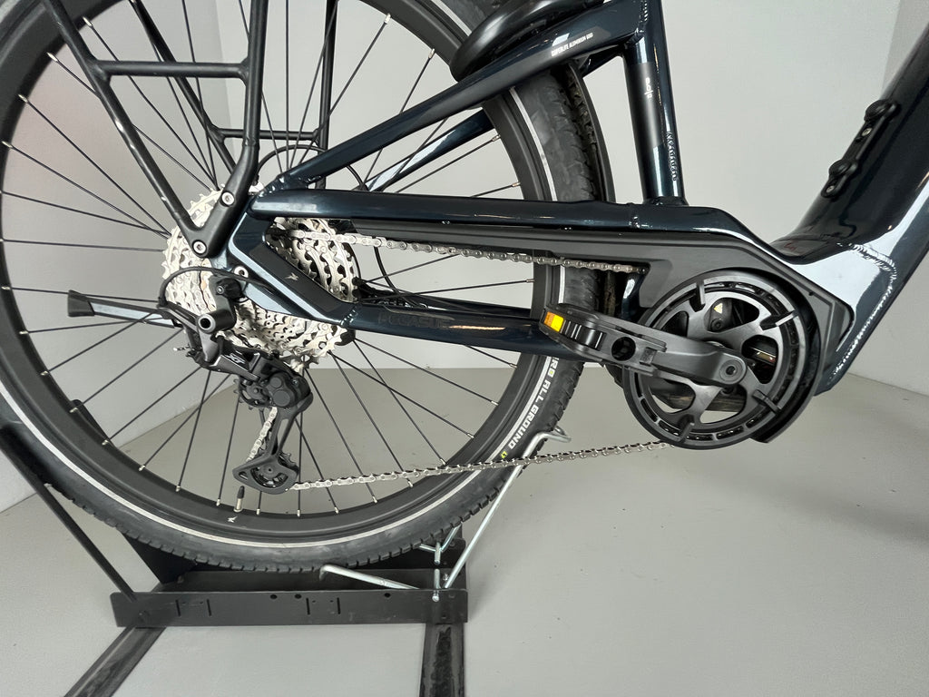 PEGASUS Savino Evo 12