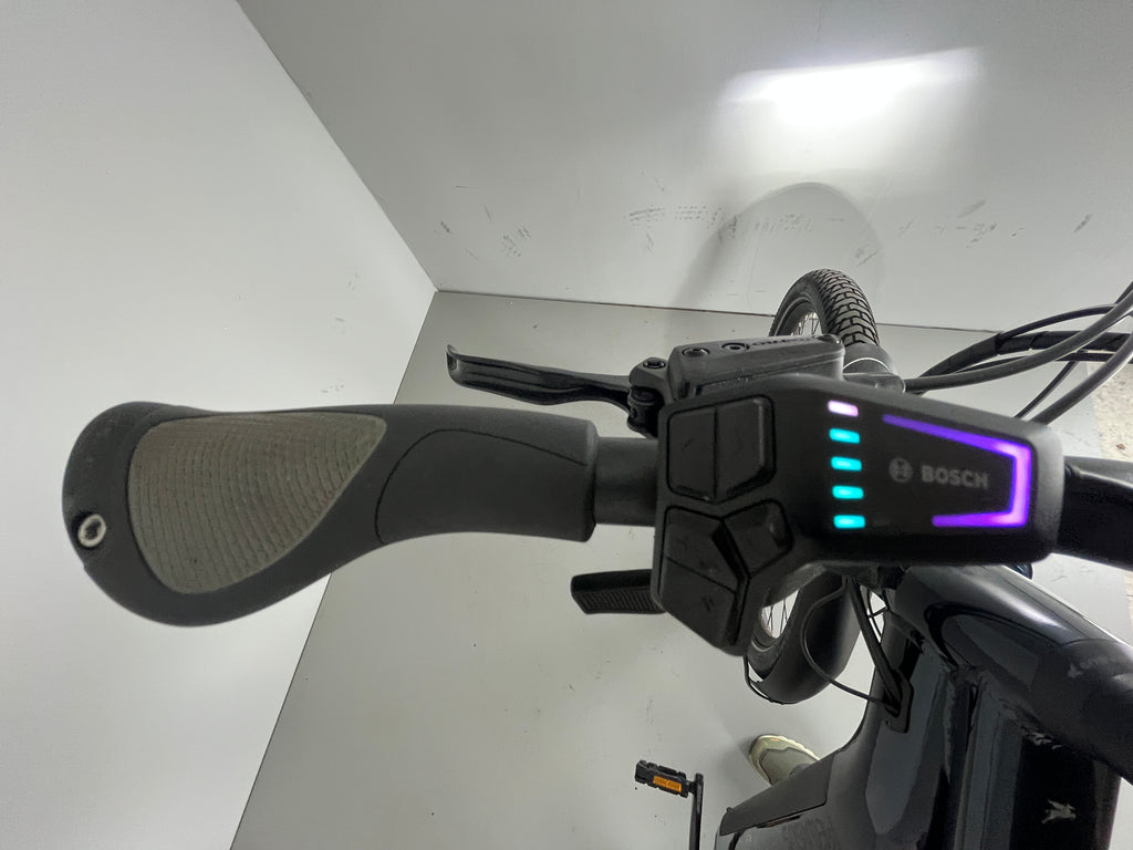 PEGASUS Savino Evo 12