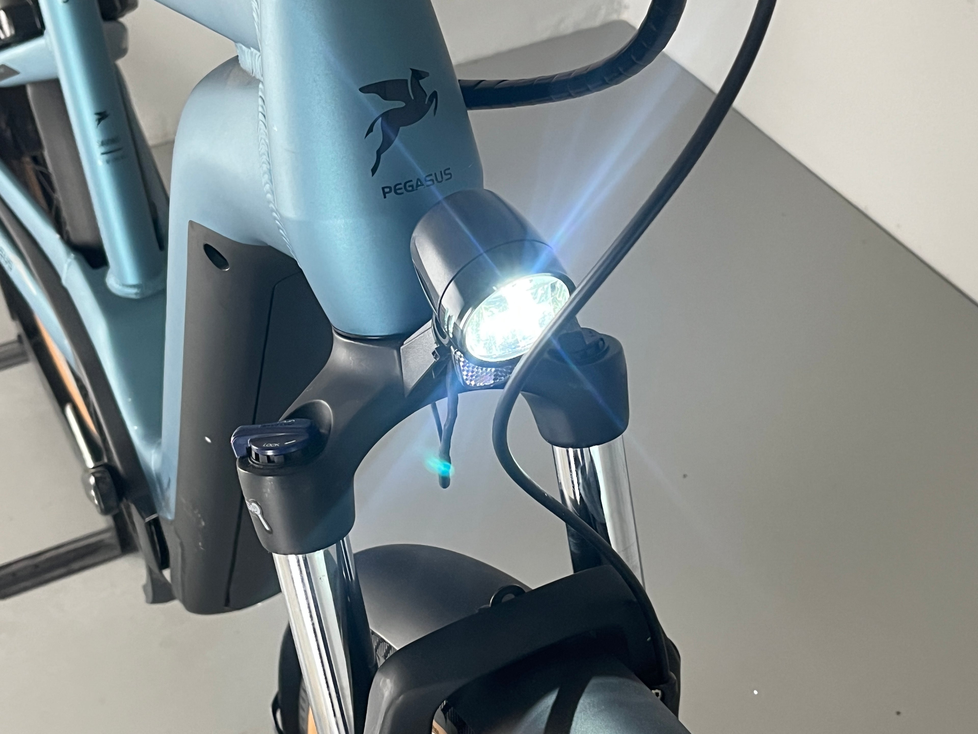 PEGASUS Savino Evo 5N