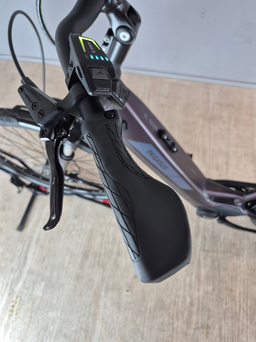Pegasus Solero Evo 9