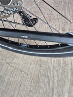 Pegasus Strong EVO 10 lite