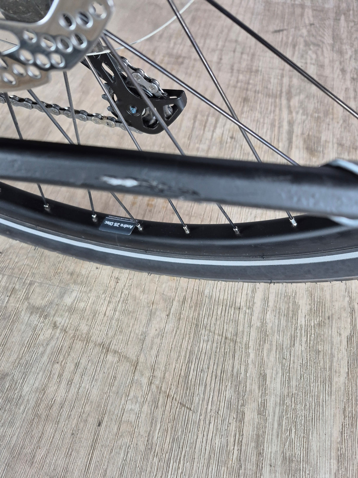Pegasus Strong EVO 10 lite