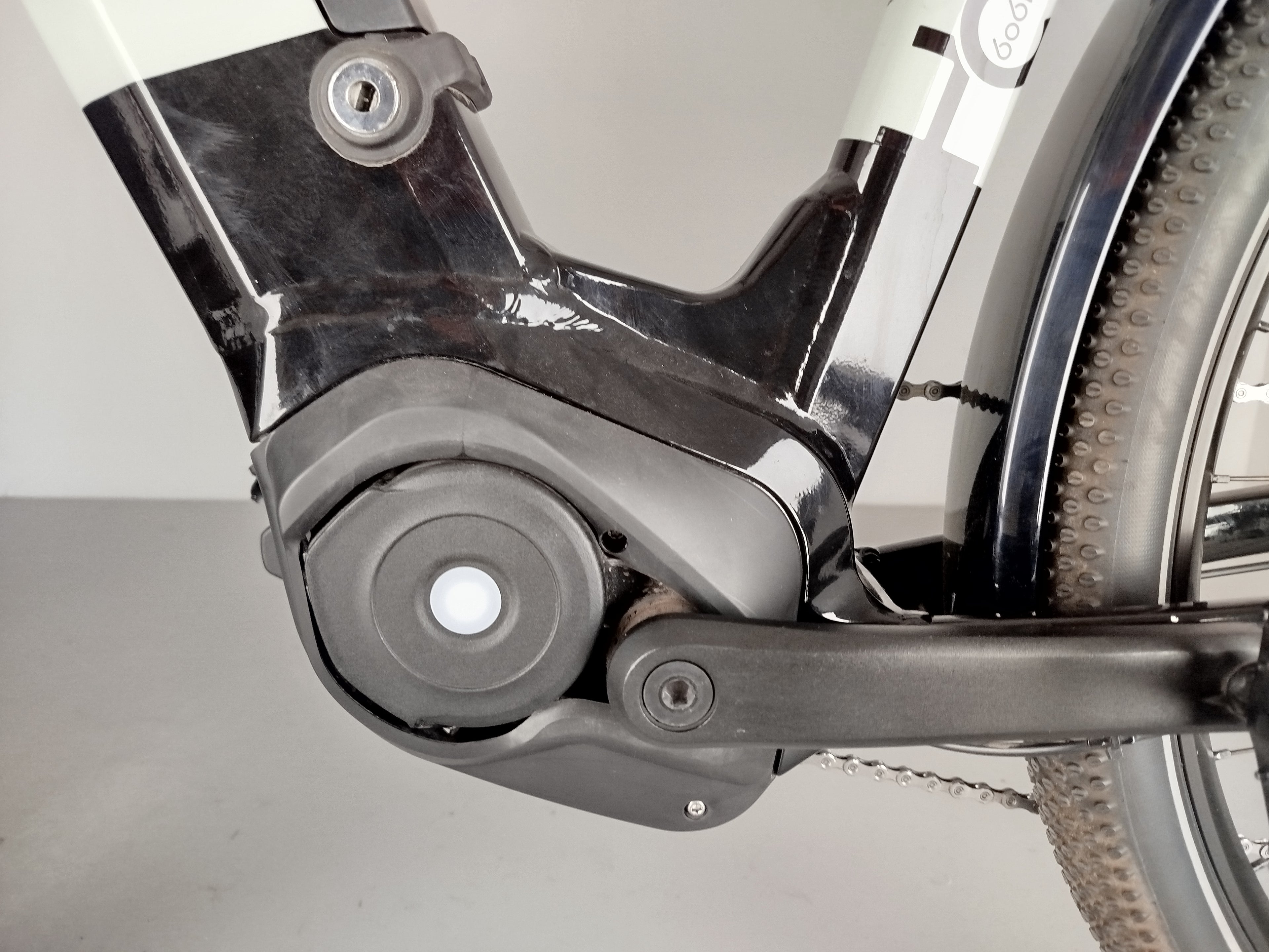 RALEIGH Dundee11