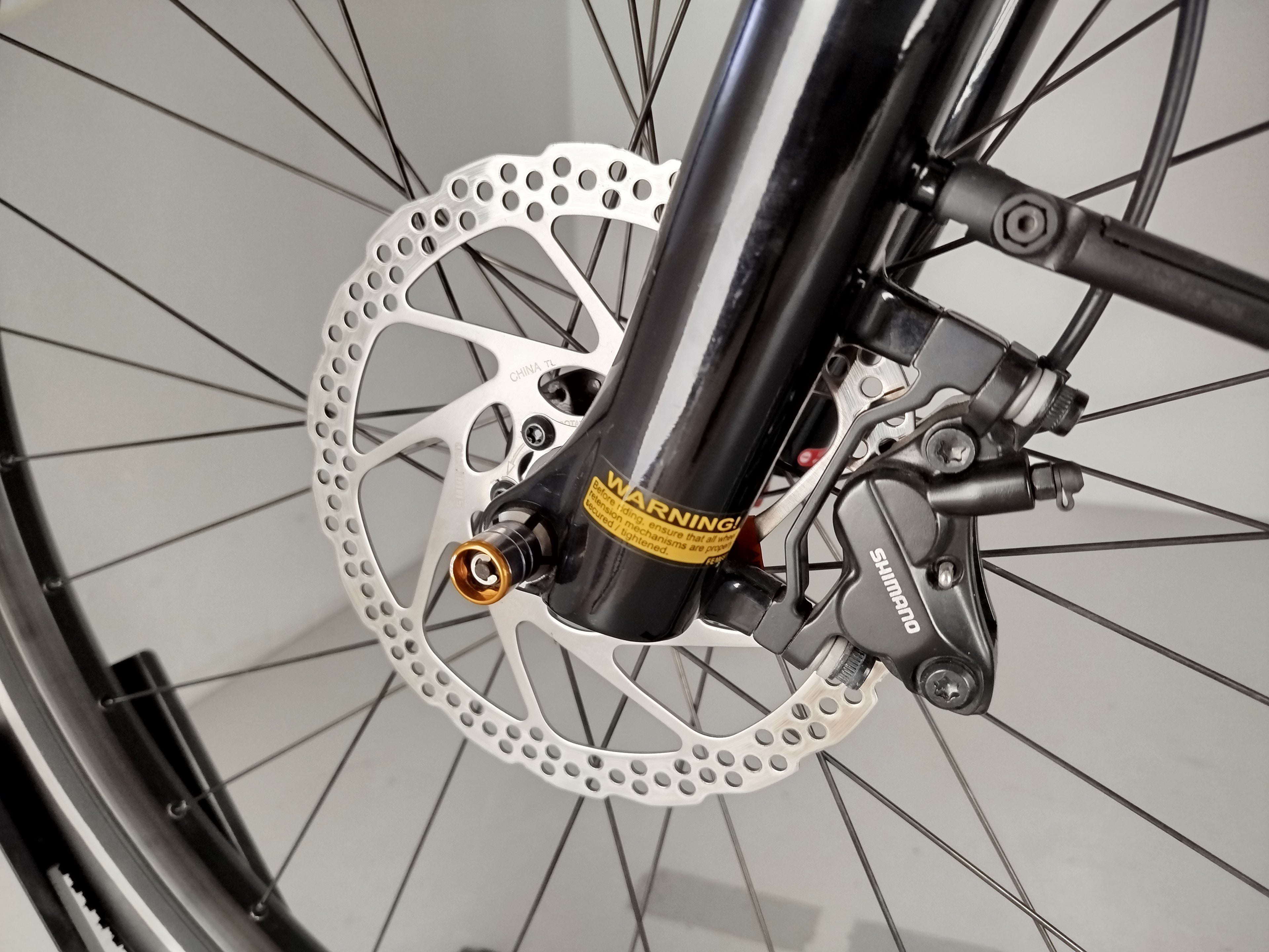 RALEIGH Dundee11