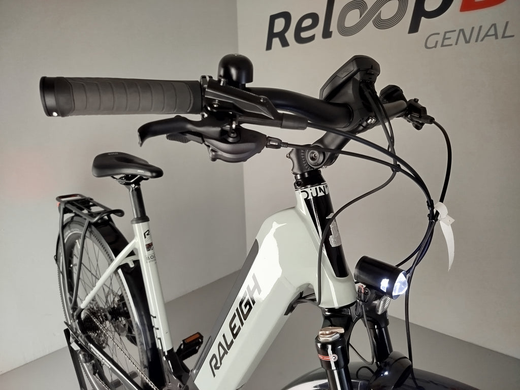RALEIGH Dundee11