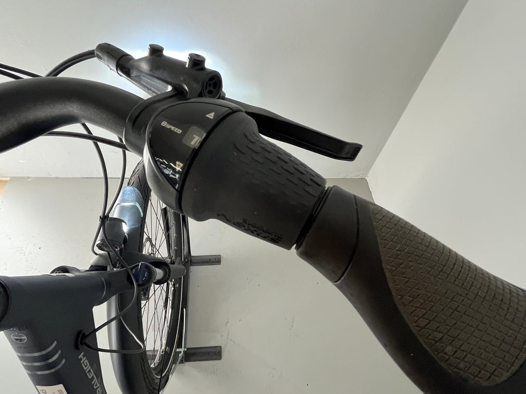 RALEIGH KINGSTON 8 XXL