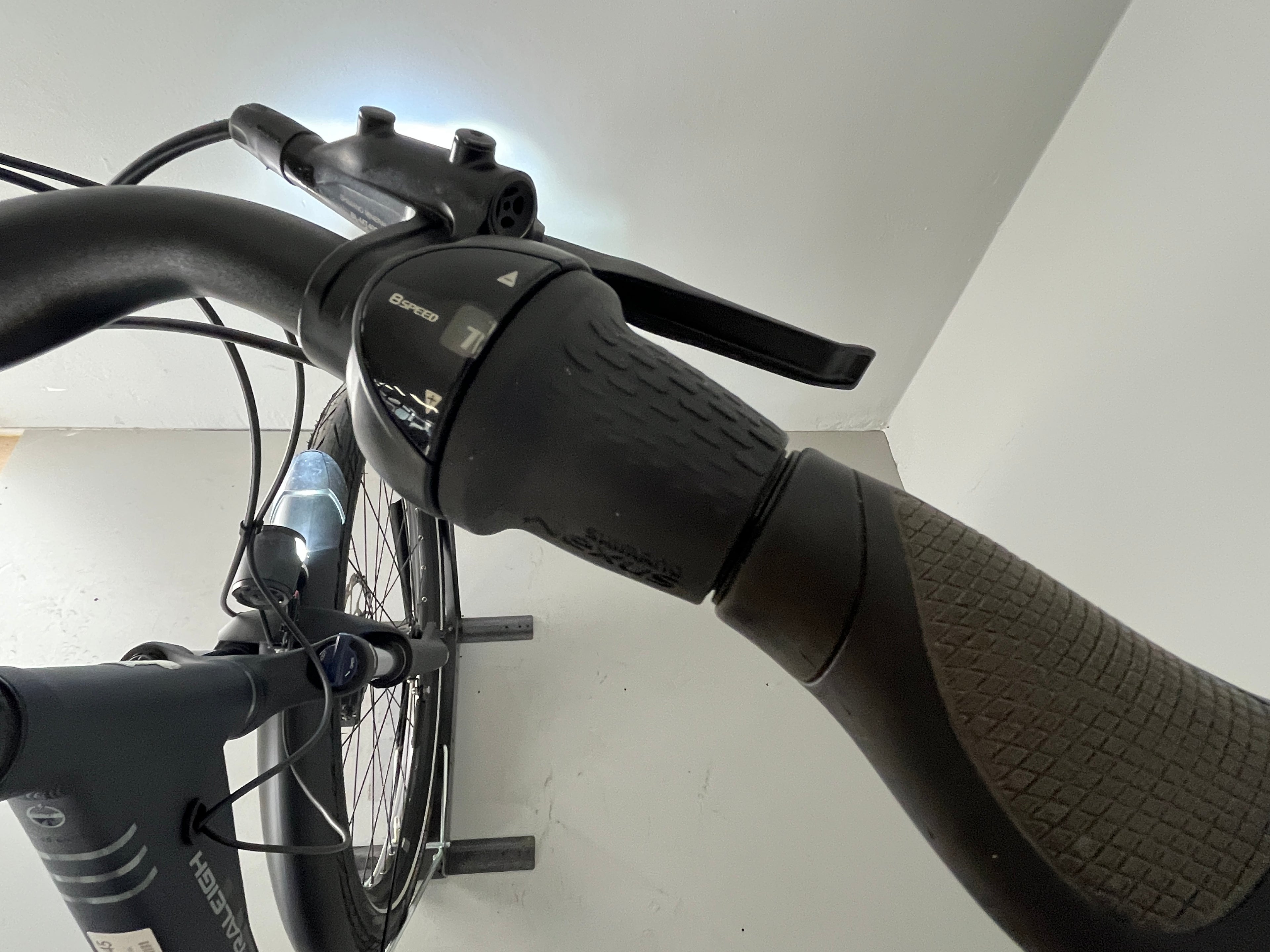 RALEIGH KINGSTON 8 XXL