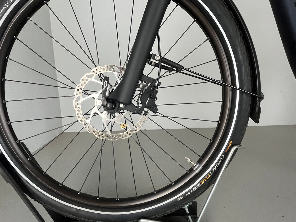 RALEIGH KINGSTON 8 XXL