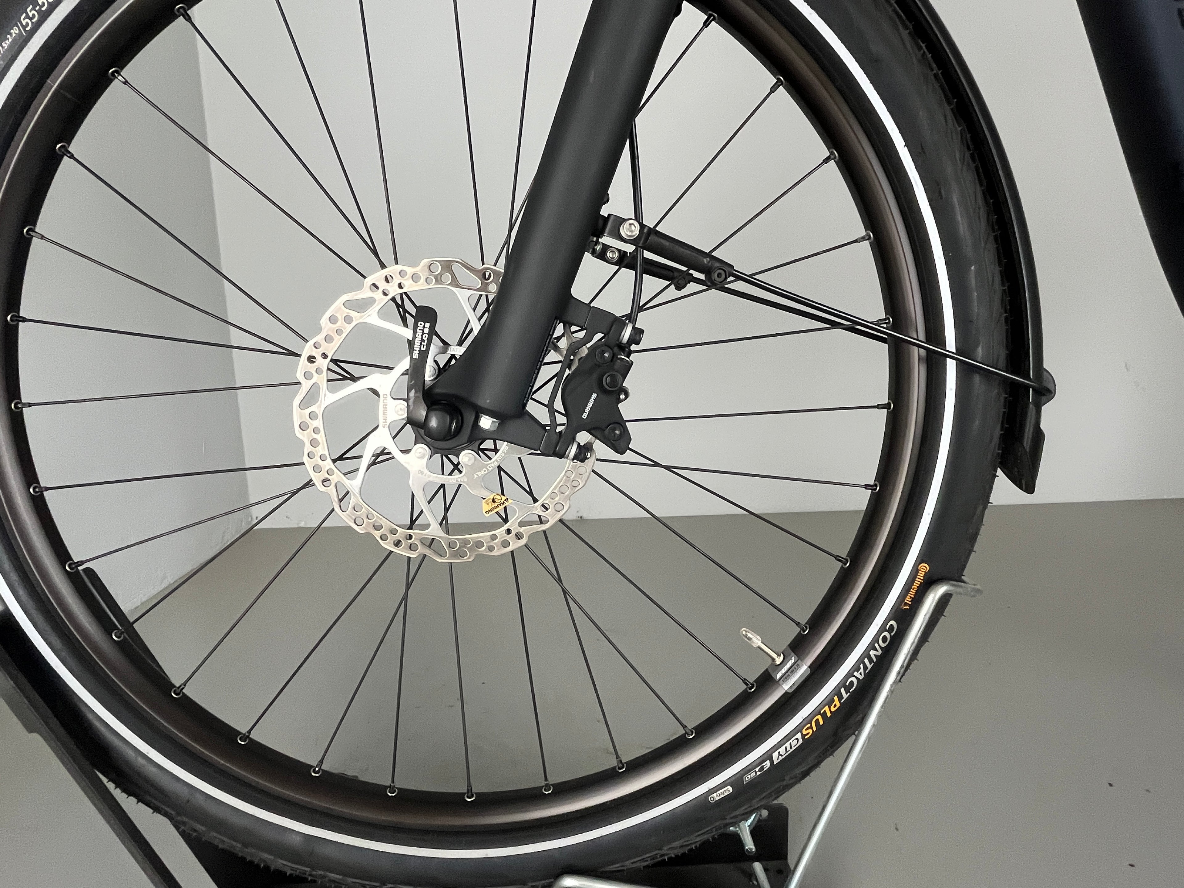 RALEIGH KINGSTON 8 XXL