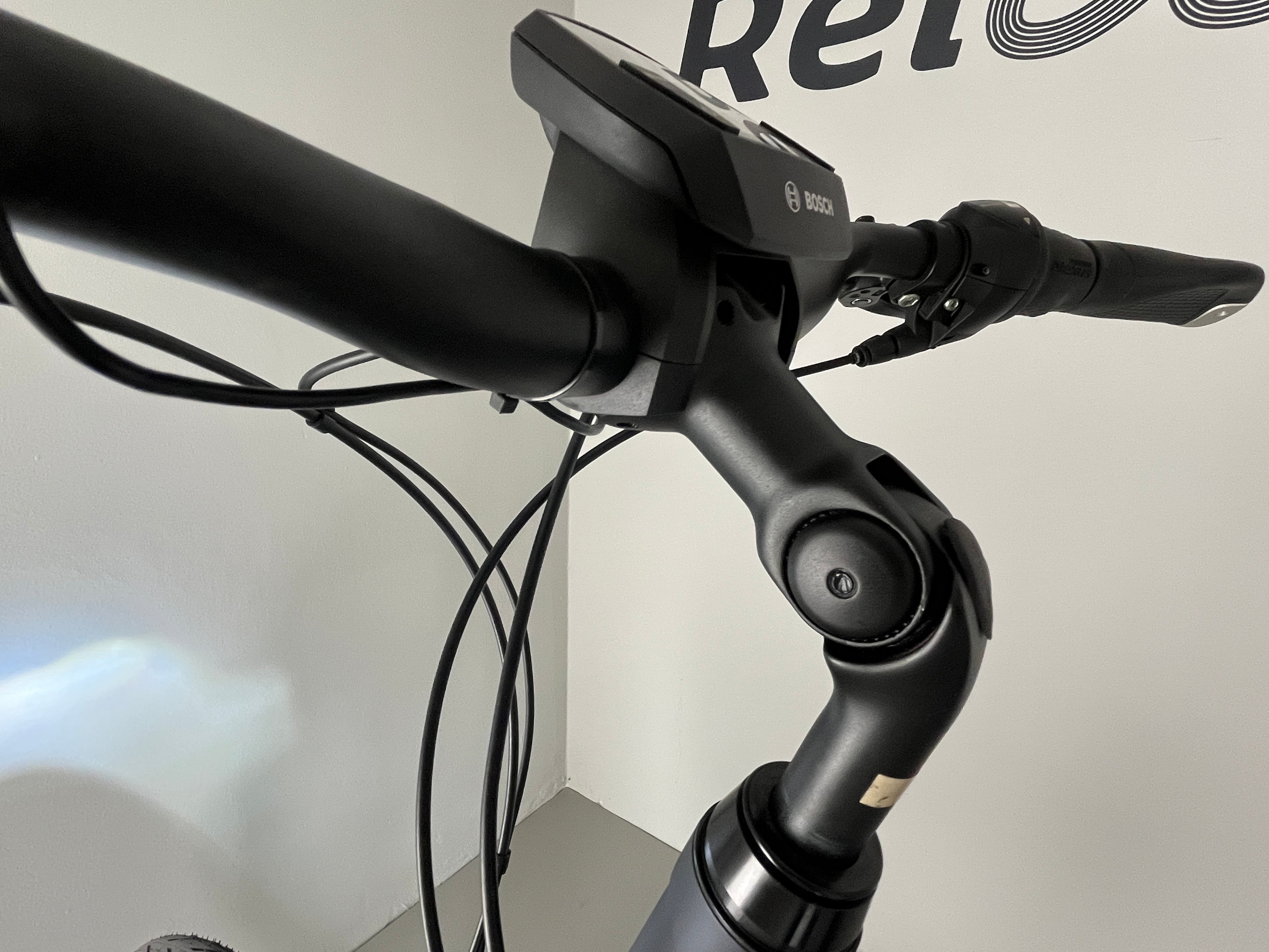 RALEIGH KINGSTON 8 XXL