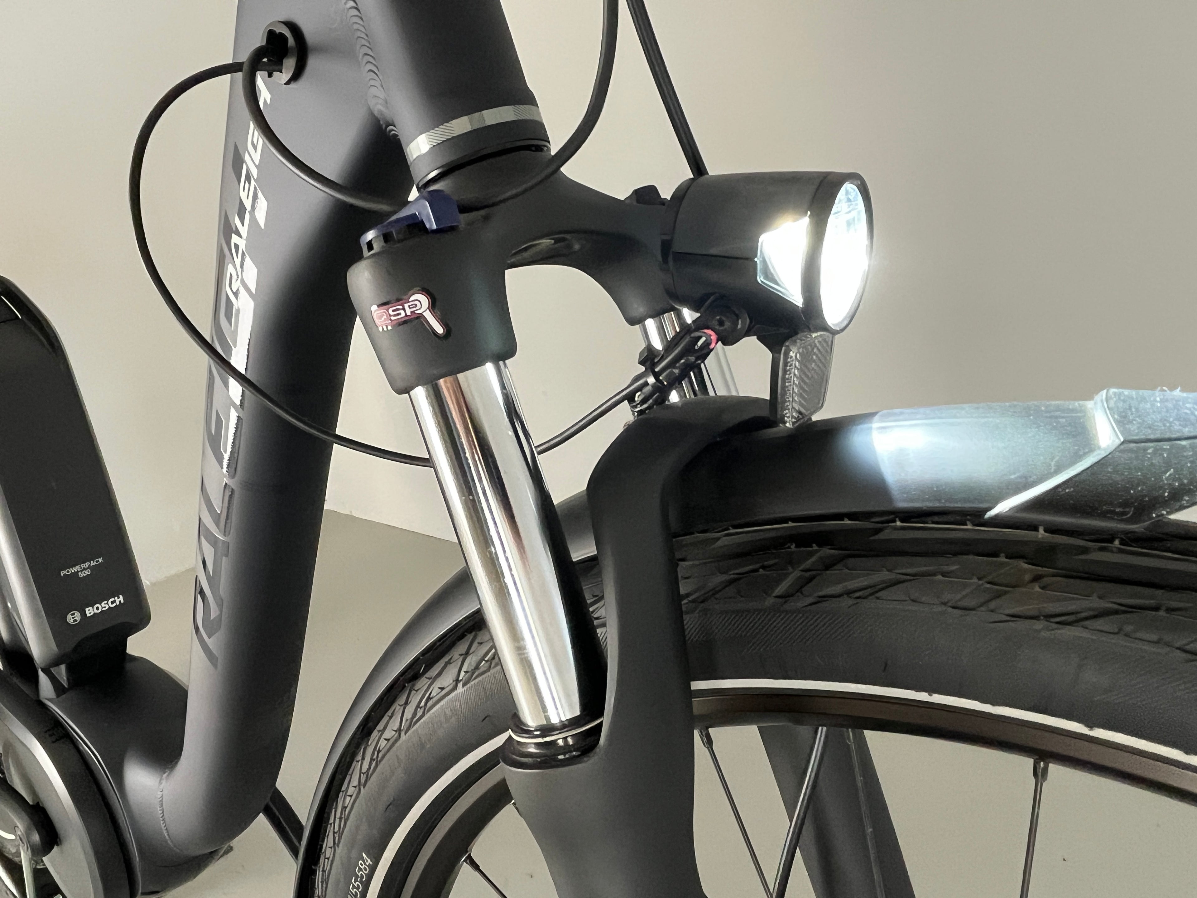 RALEIGH KINGSTON 8 XXL