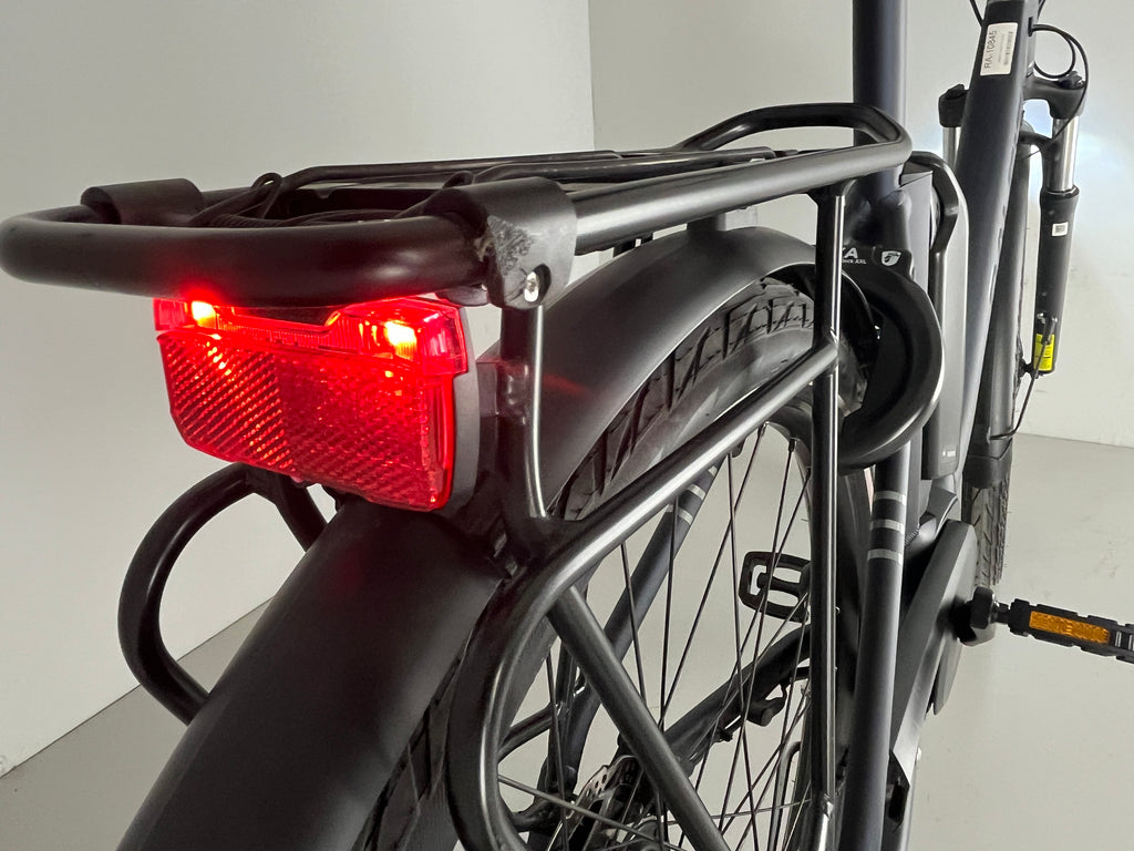 RALEIGH KINGSTON 8 XXL