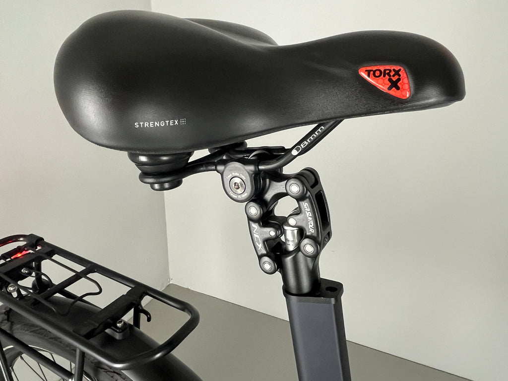 RALEIGH KINGSTON 8 XXL