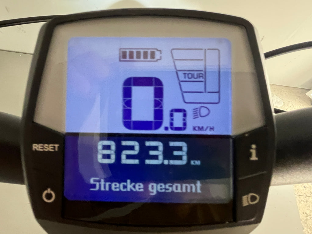 RALEIGH KINGSTON 8 XXL