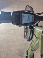 Raymon CrossRay E 5.0 M350