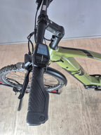 Raymon CrossRay E 5.0 M350