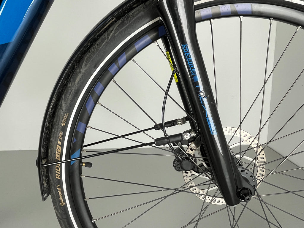 Raymon Toru Ray E2.0