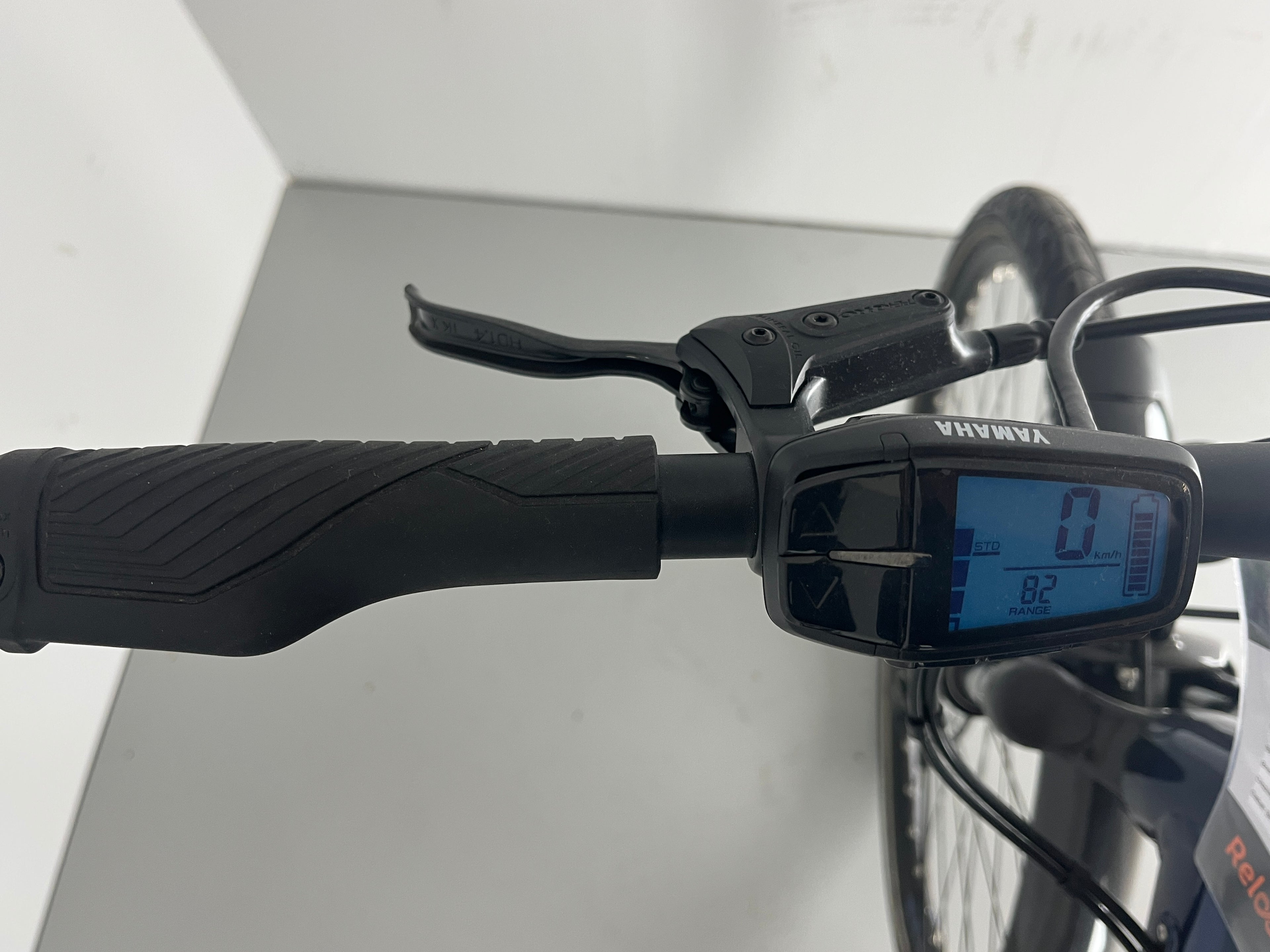 Raymon TourRay E 2.0/22 T350