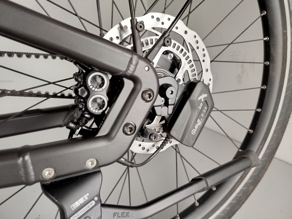 Riese & Müller Delite4 GT rohloff