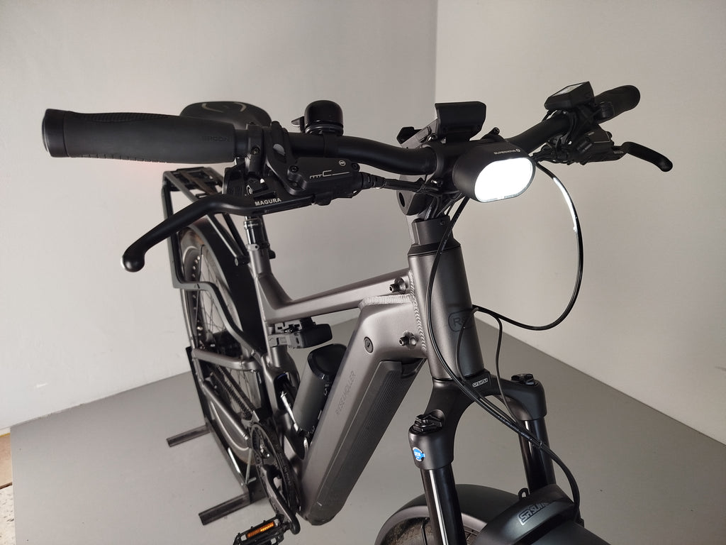 Riese & Müller Delite4 GT rohloff