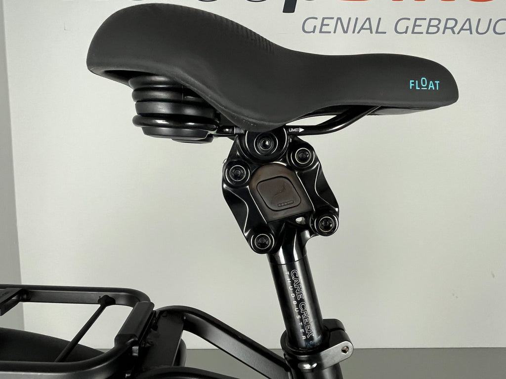 Riese & Müller Nevo GTVARIO