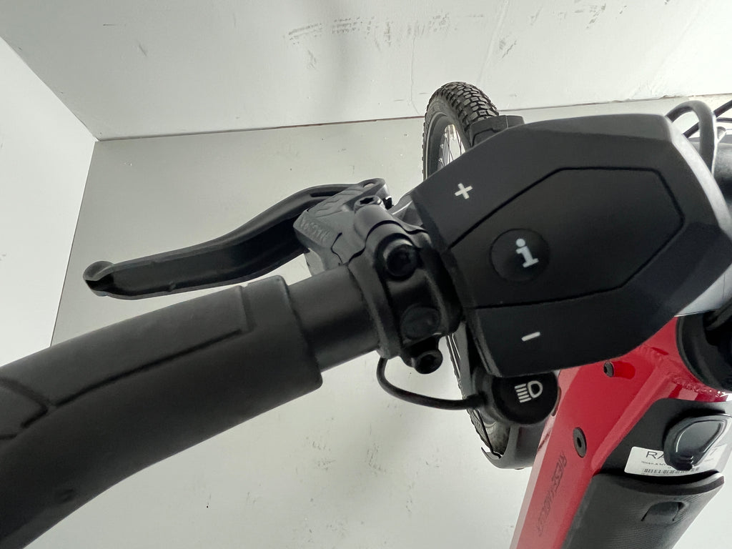 Riese & Müller Nevo GTVARIO