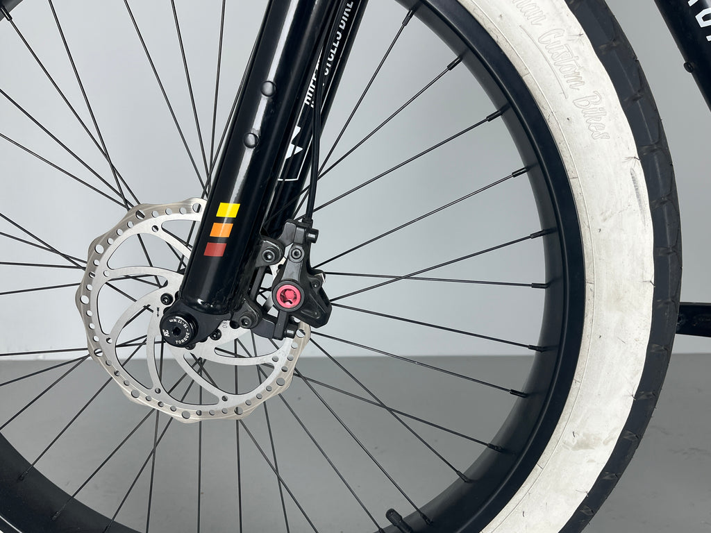 Ruff Cycles BIGGIE Active 300 Enviolo / Schwarz