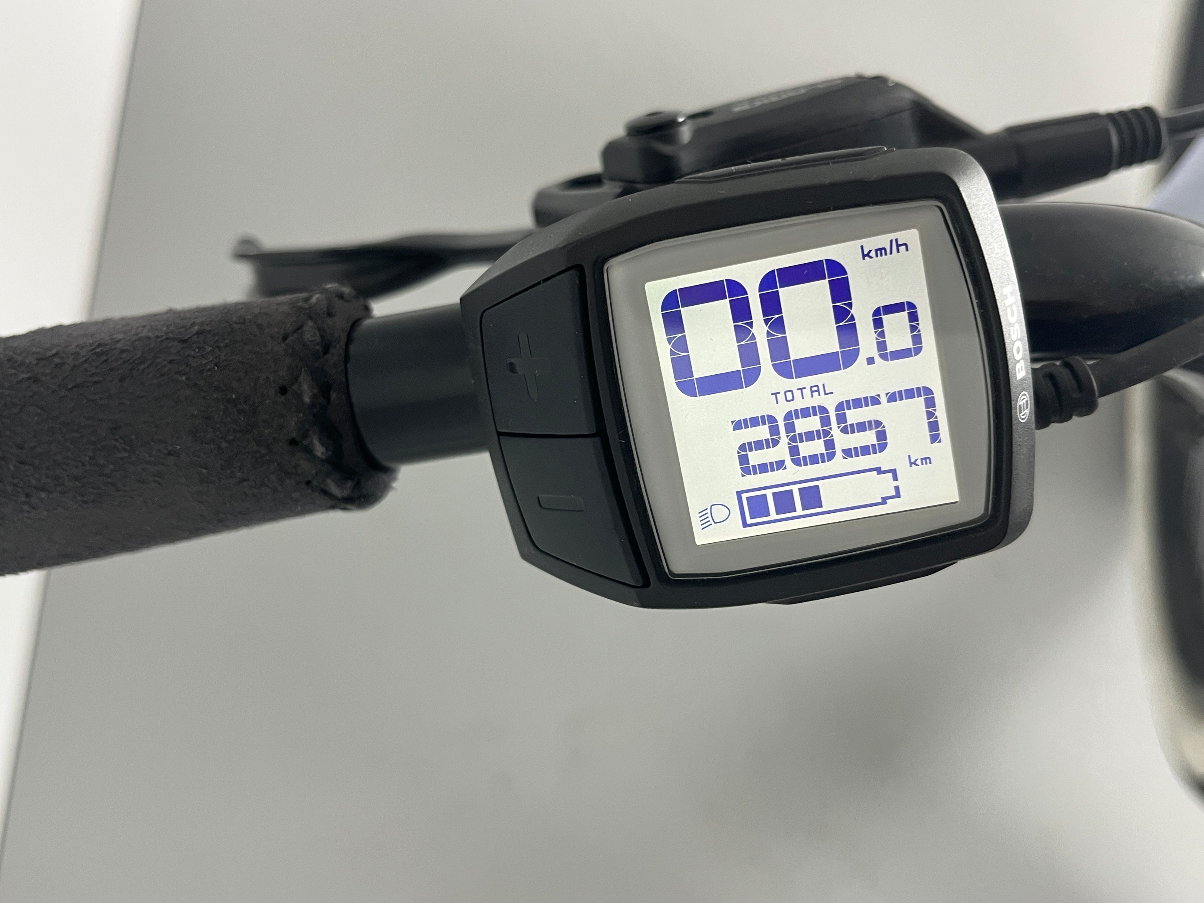 Ruff Cycles BIGGIE Active 300 Enviolo / Schwarz