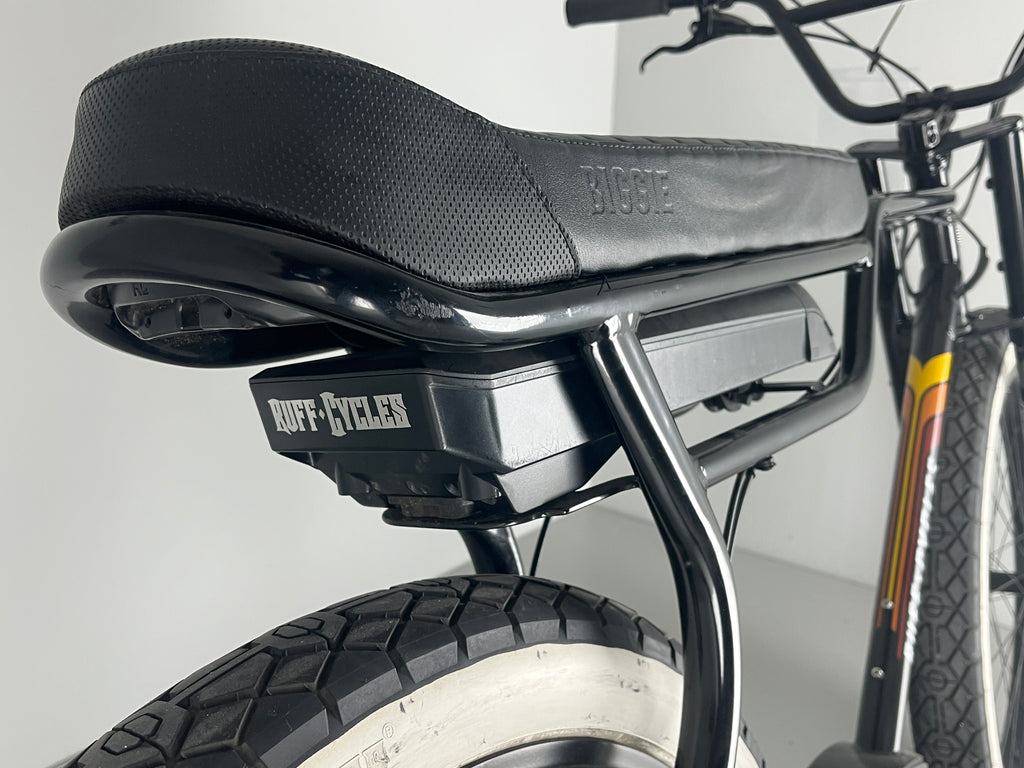 Ruff Cycles BIGGIE Active 300 Enviolo / Schwarz