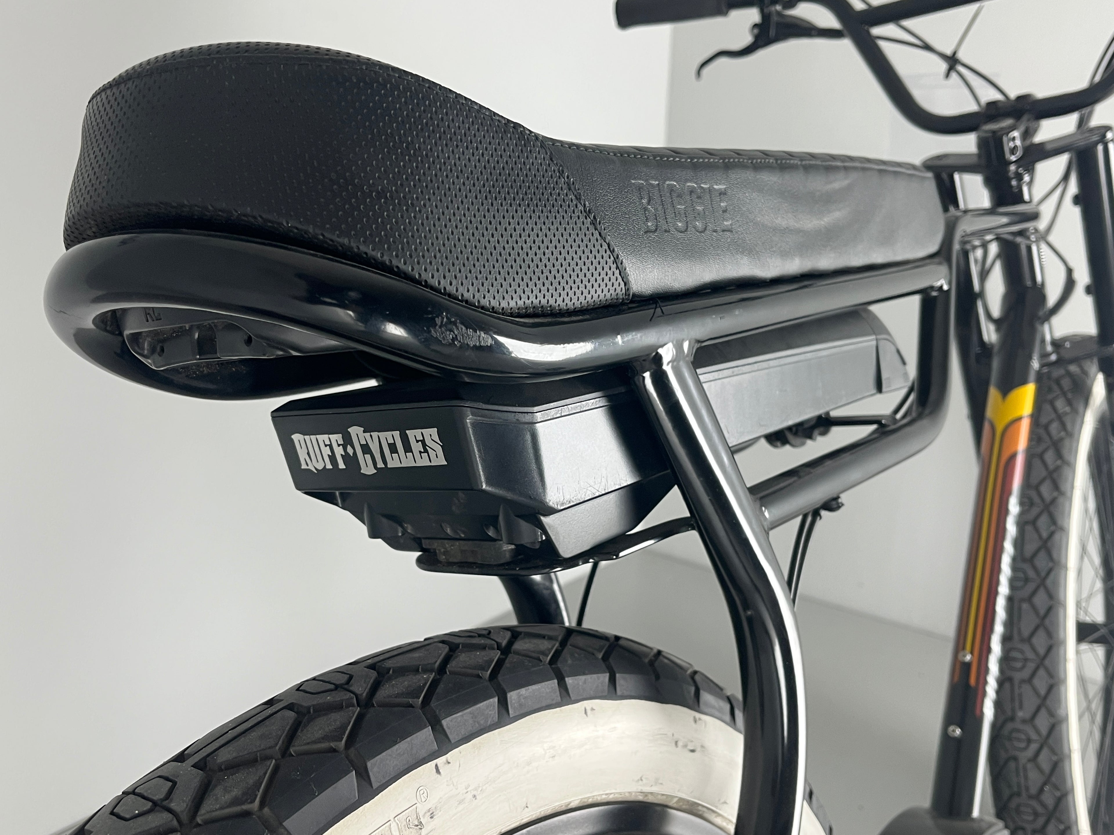 Ruff Cycles BIGGIE Active 300 Enviolo / Schwarz