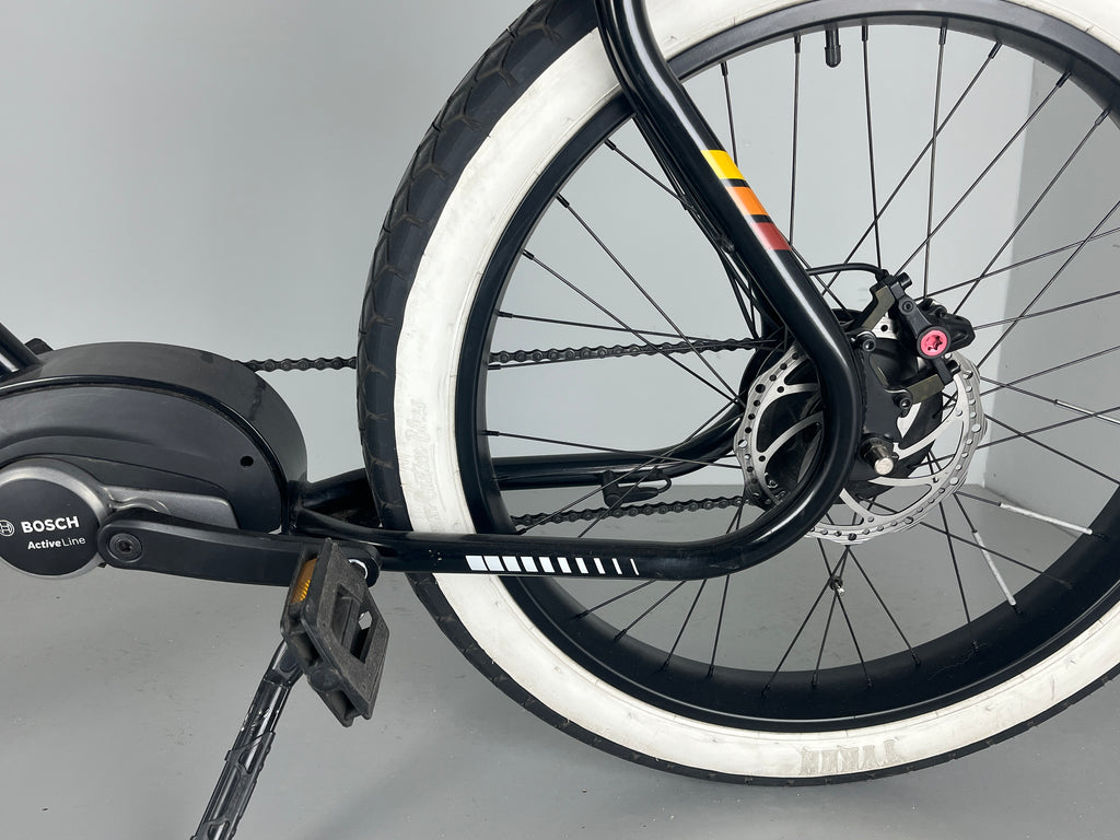 Ruff Cycles BIGGIE Active 300 Enviolo / Schwarz