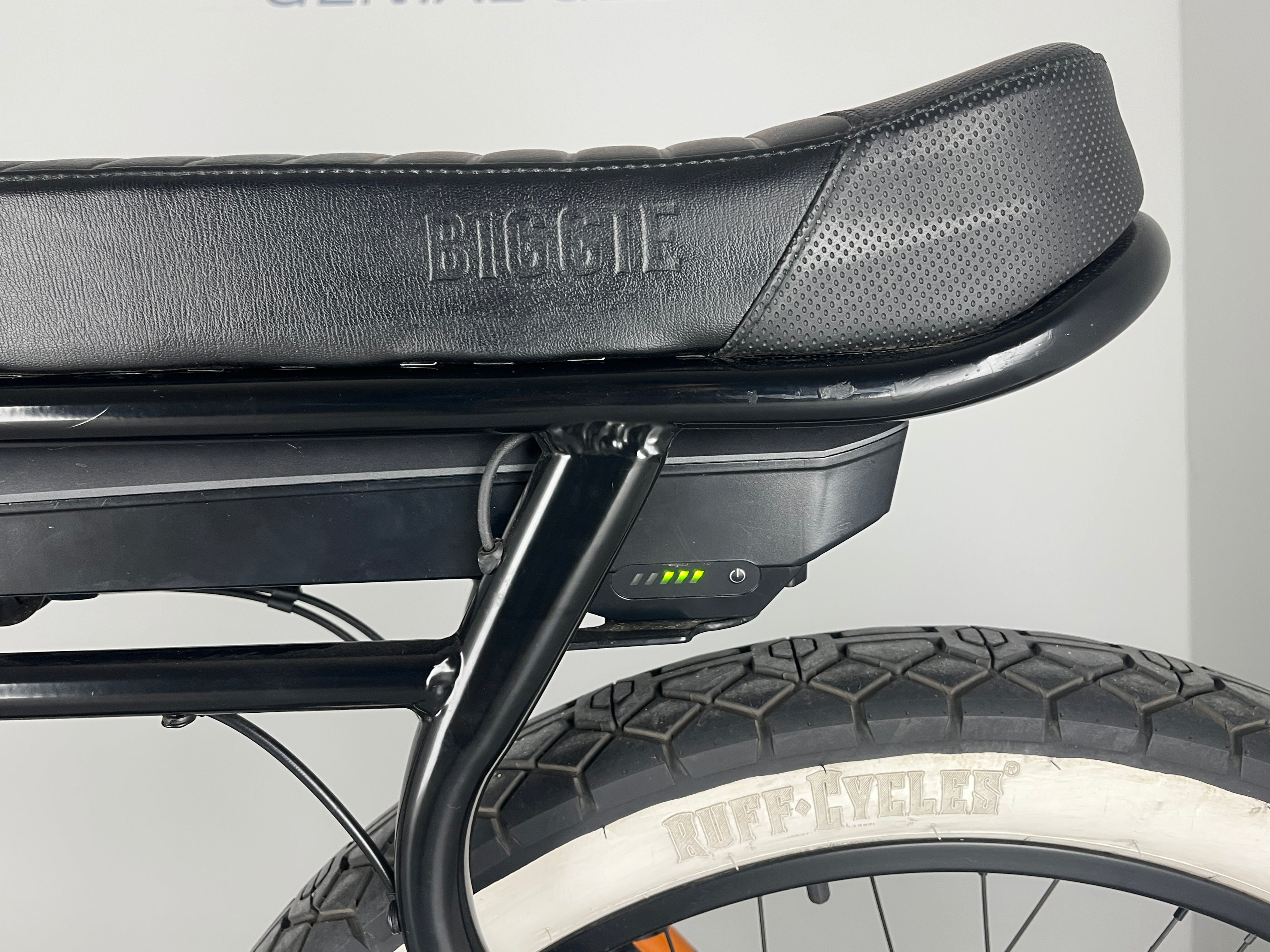 Ruff Cycles BIGGIE Active 300 Enviolo / Schwarz