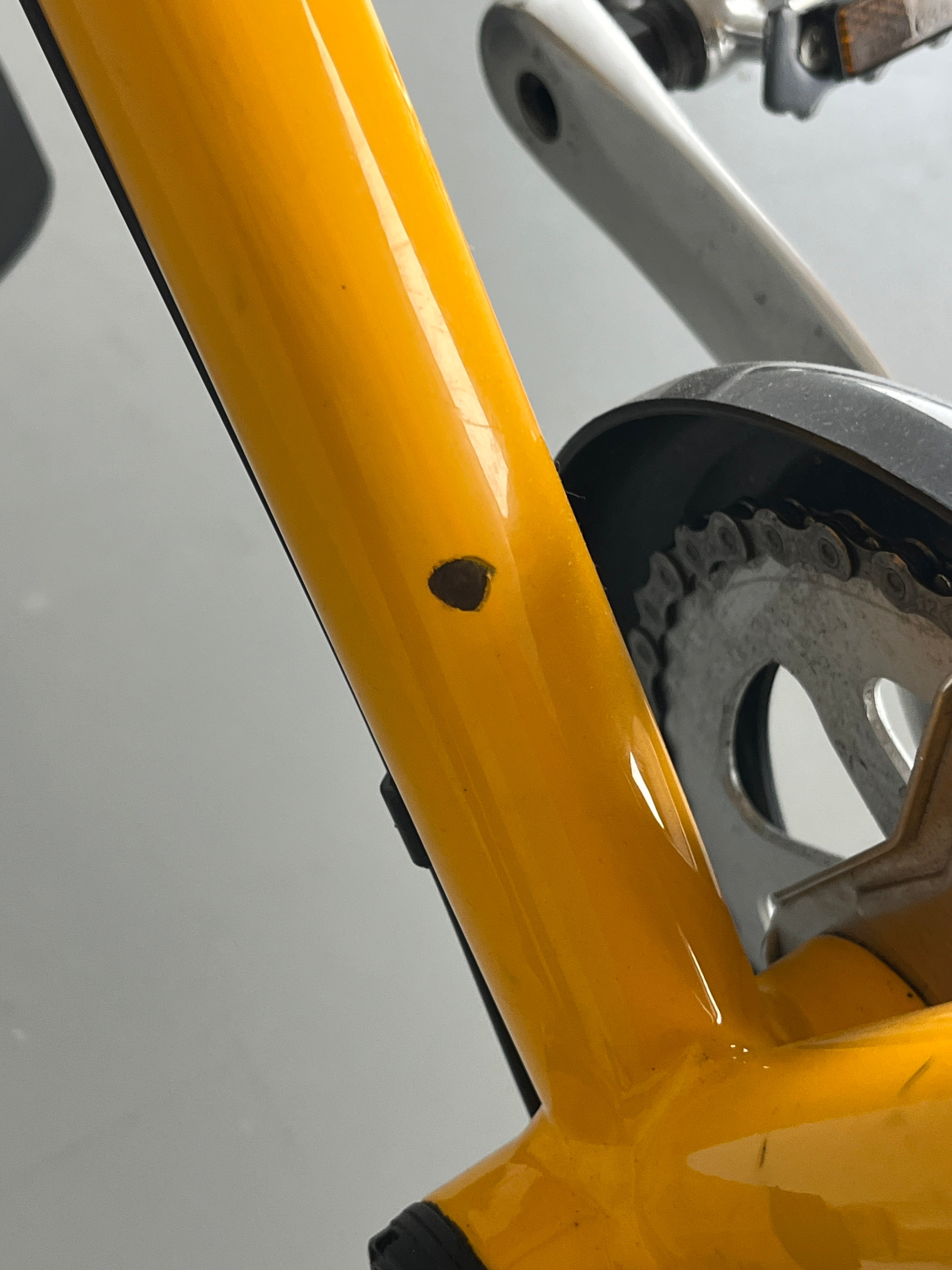 Utopia Velo SilberMöwe